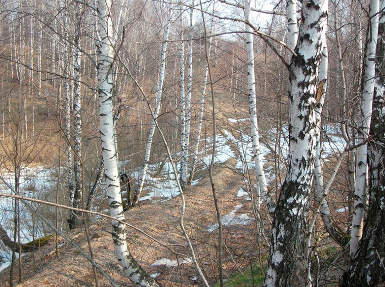 Национальный парк Самарская Лука