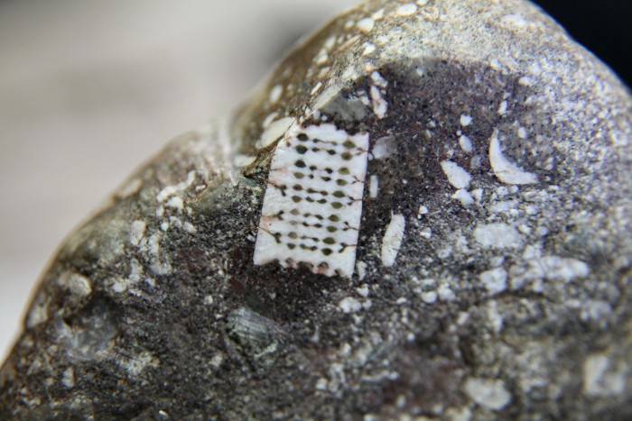 «Камень с микрочипом»: от домысла до факта