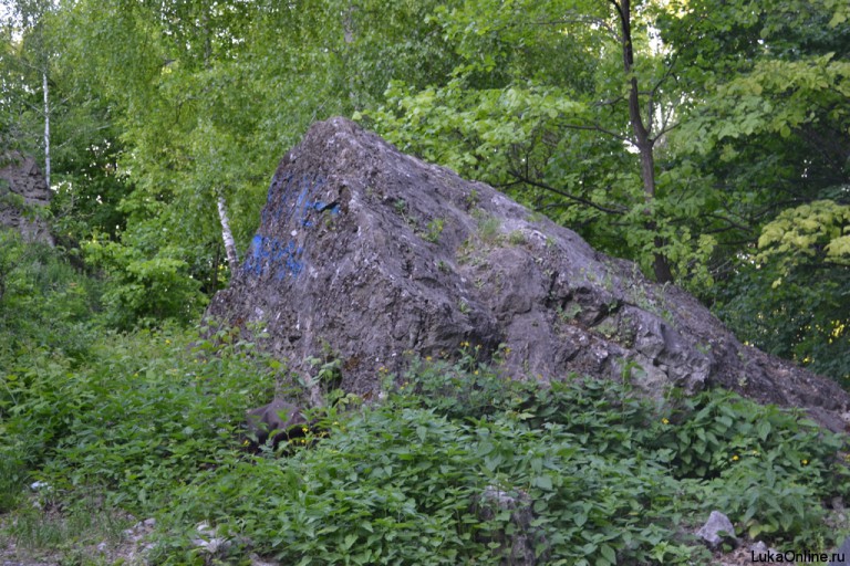 Гора верблюд самарская лука фото